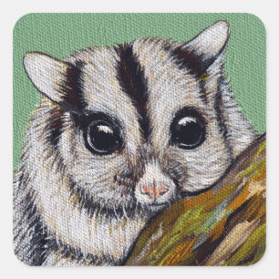 Sticker Carré Peinture de Sugar Glider