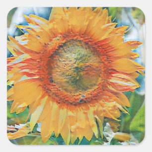 Sticker Carré Peinture de tournesol jaune et orange