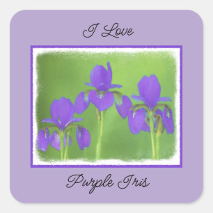 Sticker Carré Peinture Iris Violet - Art Fleur Originale