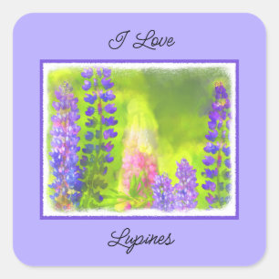 Sticker Carré Peinture Lupine - Art Fleur Original