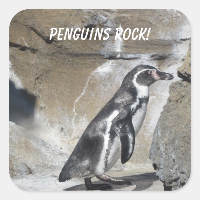 Sticker Carré Penguin cool (Devant)