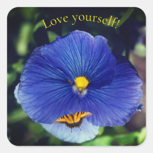 Sticker Carré Pensée bleue viola