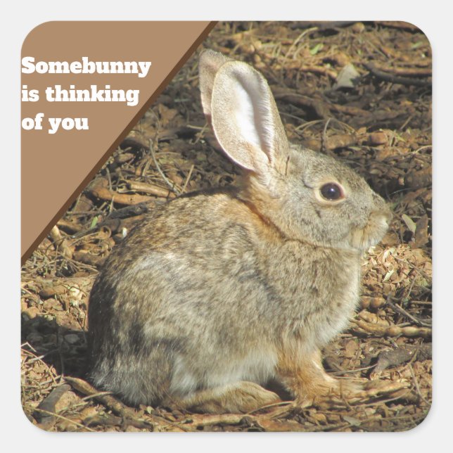 Sticker Carré Penser à votre Humour Brown lapin photo animal (Devant)