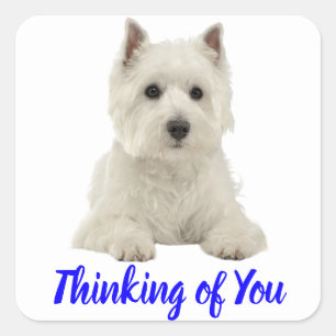 Sticker Carré Penser à vous West Highland Terrier Chien chiot
