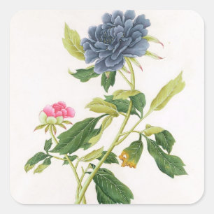 Sticker Carré Peony