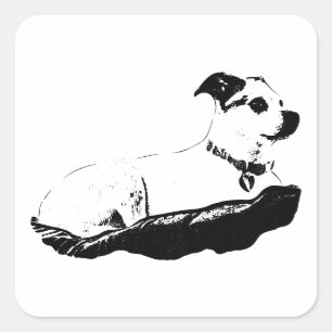 Sticker Carré Perché & Observateur