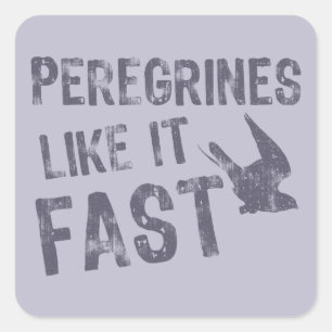 Sticker Carré Peregrines Comme Il Rapide