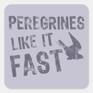 Sticker Carré Peregrines Comme Il Rapide