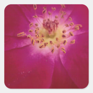 Sticker Carré Perfection pétale : À damiers Rose Art Motif pétal