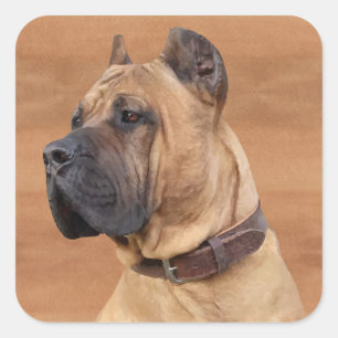 Sticker Carré Perro de Presa Canario - Dogo Canario