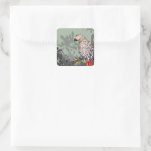 Sticker Carré Perroquet gris africain