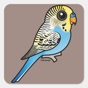 Sticker Carré Perruche bleue et jaune