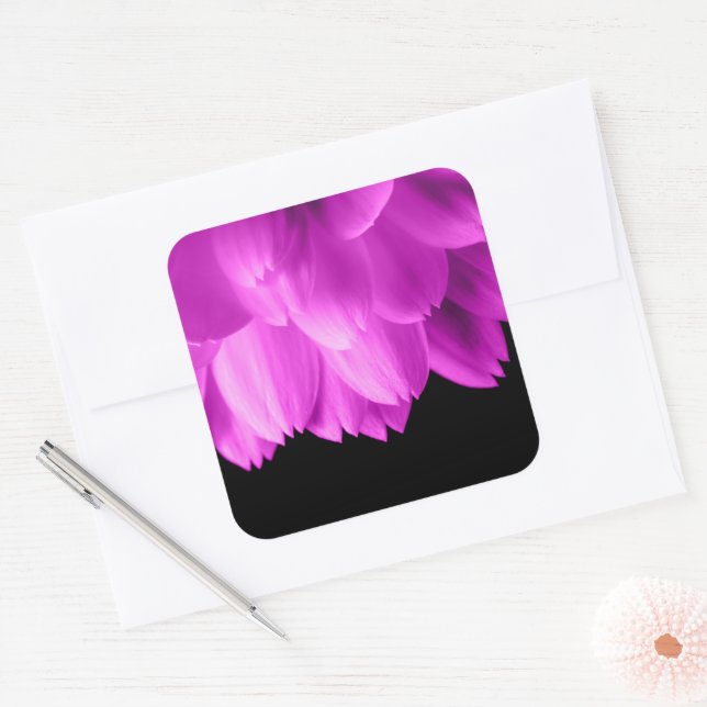 Sticker Carré Pétales de fleurs roses chaudes sur noir (Enveloppe)