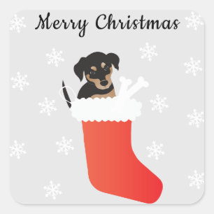 Sticker Carré Petit Chien Dans Un Snowflakes En Attraction