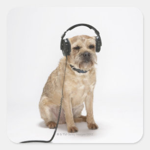 Sticker Carré Petit chien portant un casque