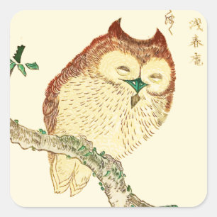 Sticker Carré Petit hibou japonais