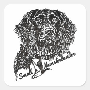 Sticker Carré Petit Munsterlander (logo)