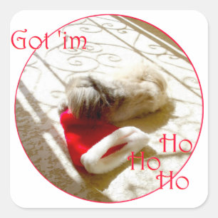 Sticker Carré Petit Pékinois Attrape le Père Noël
