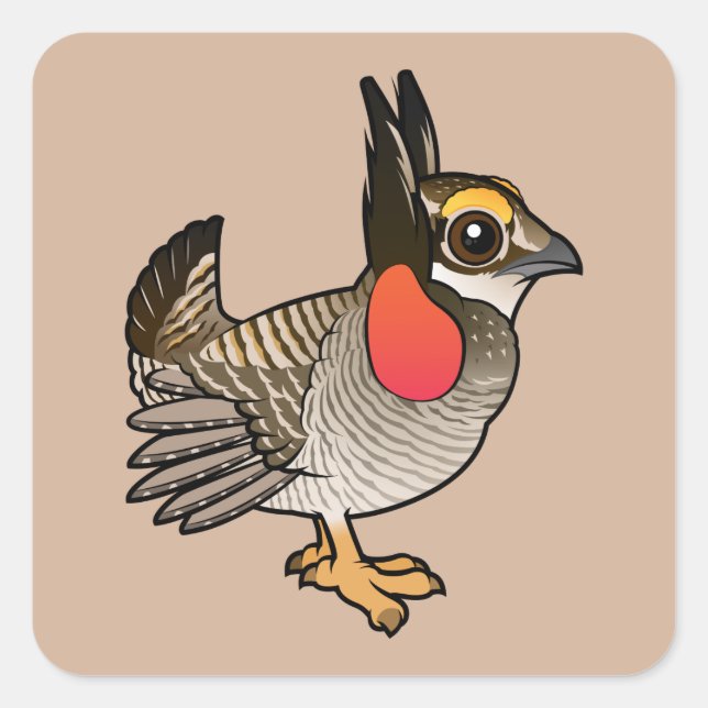 Sticker Carré Petit poulet des Prairies (Devant)