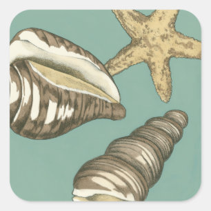 Sticker Carré Petit trio Shell Turquoise