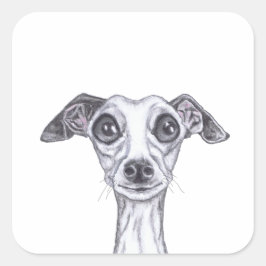 Sticker Carré PETITE GREYHOUND ITALIENNE g869