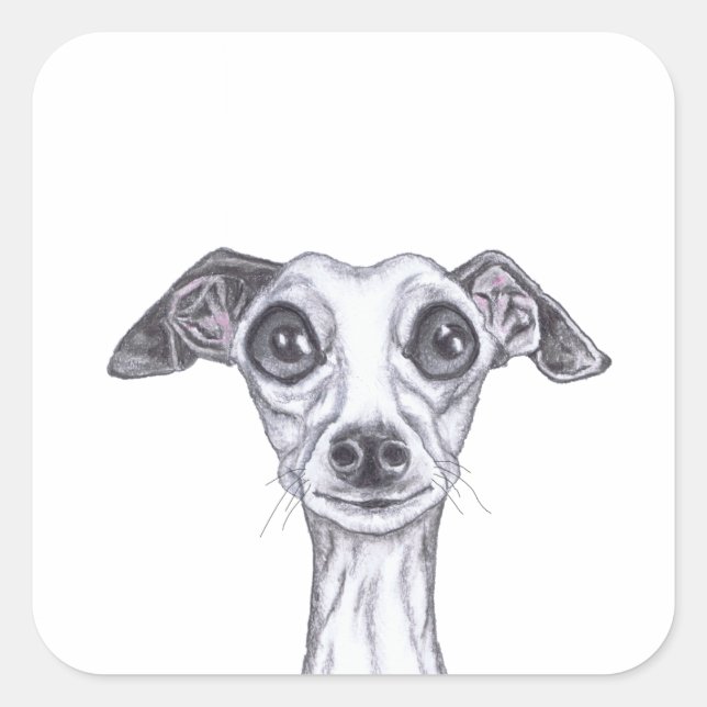Sticker Carré PETITE GREYHOUND ITALIENNE g869 (Devant)