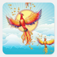 Phoenix - Levée d'oiseaux