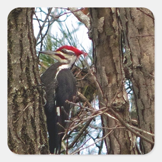 Sticker Carré Pic pilé (Devant)