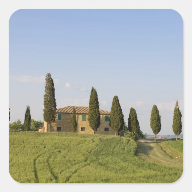 Sticker Carré Pienza, Val d'Orcia, province de Sienne, Toscane, (Devant)