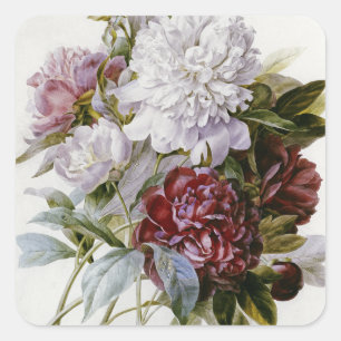 Sticker Carré Pierre Joseph Redoute - un bouquet des pivoines