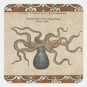 Sticker Carré Pieuvre Kraken Antique Faune Marine Côtière