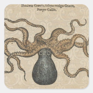 Sticker Carré Pieuvre Kraken Antique Faune Marine Côtière