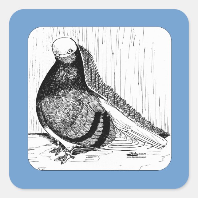 Sticker Carré Pigeon Bald Anglais à face courte 1978 (Devant)
