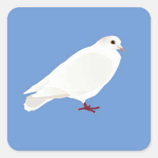 Sticker Carré Pigeon blanc (colombe)