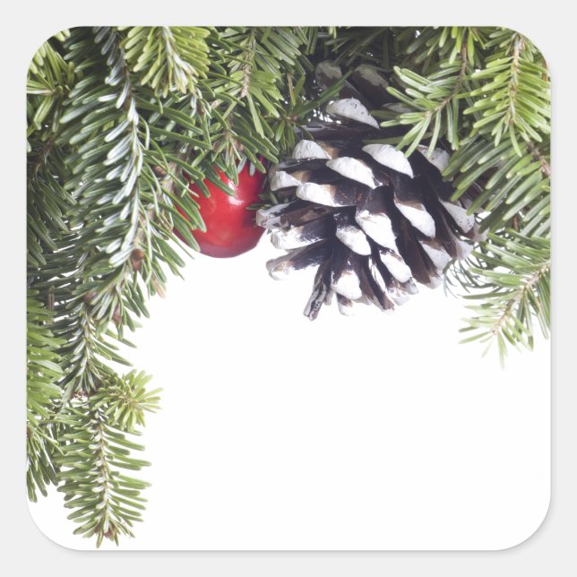 Sticker Carré Pine de Noël Modèle de Berry Rouge (Devant)