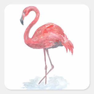 Sticker Carré Pink watercolor Flamingo .