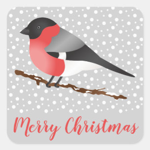 Sticker Carré Pinson bouvreuil eurasien oiseau gris hiver Noël