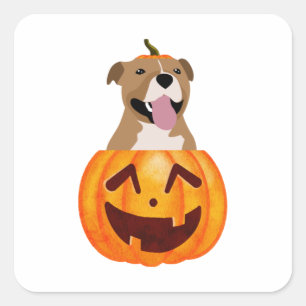 Sticker Carré Pitbull Halloween