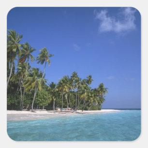 Sticker Carré Plage avec palmiers, Maldives