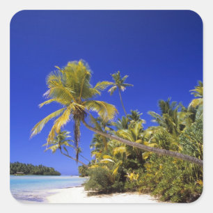 Sticker Carré Plage bordée de palmiers Îles Cook 7
