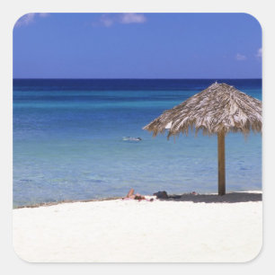 Sticker Carré Plage de Malmok, Aruba, Antilles néerlandaises