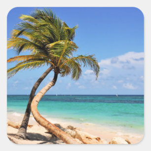 Sticker Carré Plage et palmier tropicaux