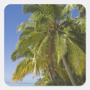 Sticker Carré Plage sur l'île One Foot, Aitutaki, Îles Cook