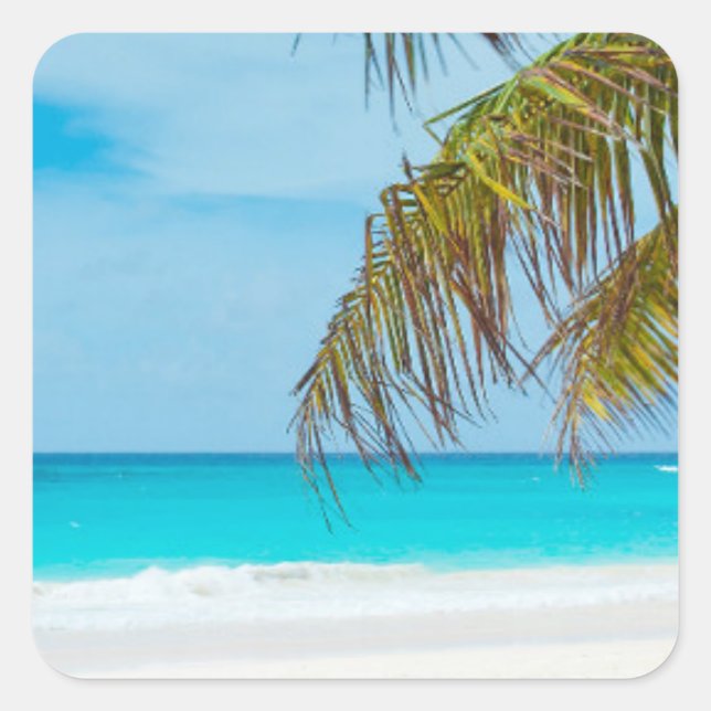 Sticker Carré Plage tropicale Turquoise (Devant)