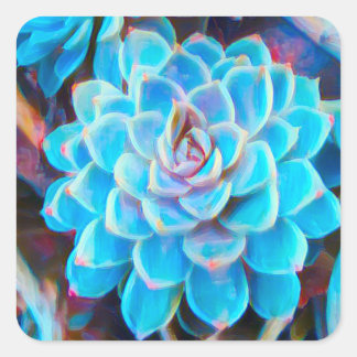 Sticker Carré plante d'art original succulent