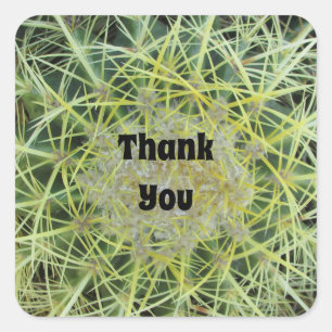 Sticker Carré Plante du désert Merci Cactus d'appréciation