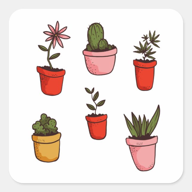 Sticker Carré Plantes potés et succulents mignons (Devant)