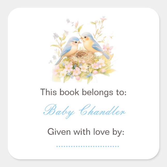 Sticker Carré Plaque Baby shower Spring Birds (Devant)