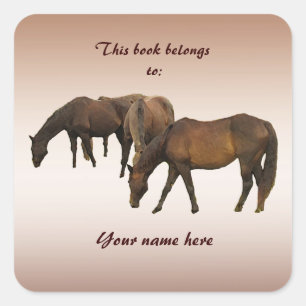 Sticker Carré Plaque d'enregistrement Chevaux de pâturage