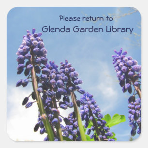 Sticker Carré Plaque d'enregistrement des Hyacinthes de raisin ~